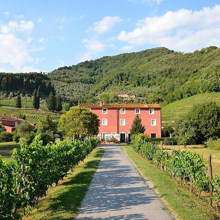 Agriturismo Le Murelle ルッカ エクステリア 写真