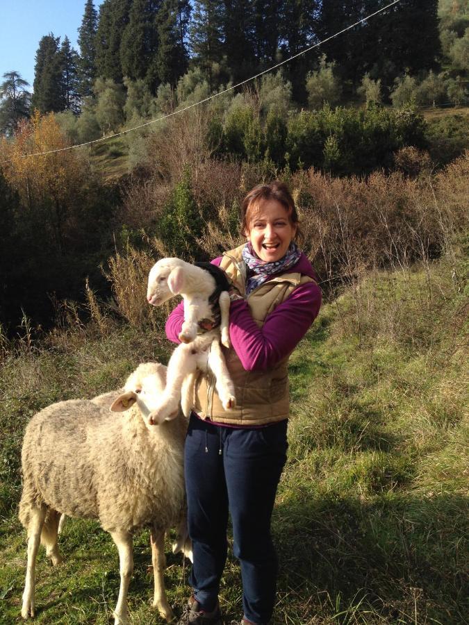 Agriturismo Le Murelle ルッカ エクステリア 写真