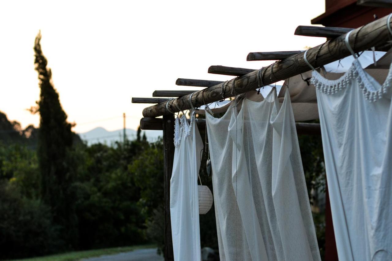 Agriturismo Le Murelle ルッカ エクステリア 写真