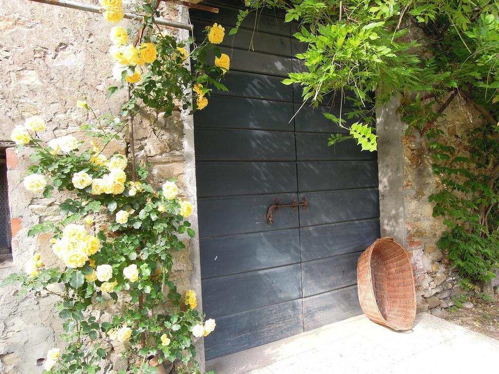 Agriturismo Le Murelle ルッカ エクステリア 写真