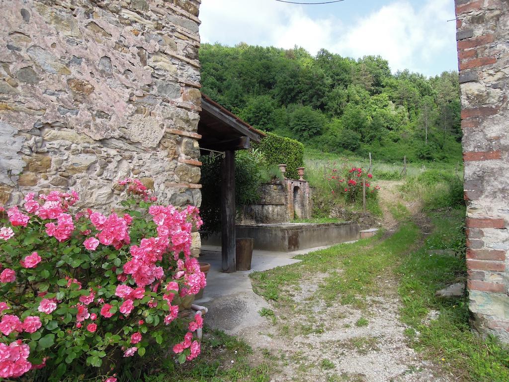 Agriturismo Le Murelle ルッカ エクステリア 写真