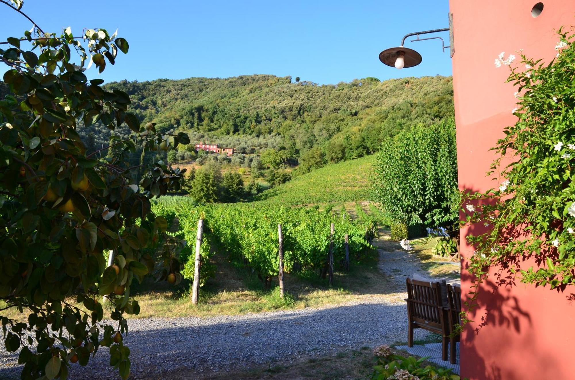 Agriturismo Le Murelle ルッカ エクステリア 写真
