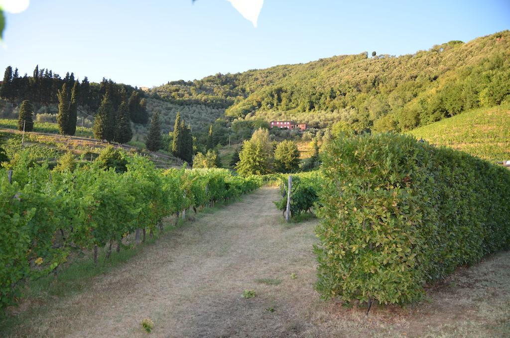Agriturismo Le Murelle ルッカ エクステリア 写真